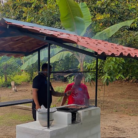 Los Amigos Jungle Hotel Tortuguero Ngoại thất bức ảnh