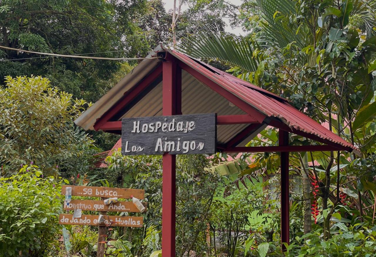 Los Amigos Jungle Hotel Tortuguero Ngoại thất bức ảnh