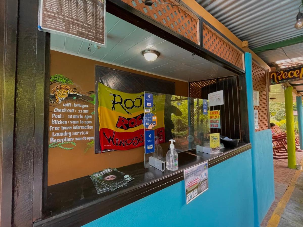 Los Amigos Jungle Hotel Tortuguero Ngoại thất bức ảnh