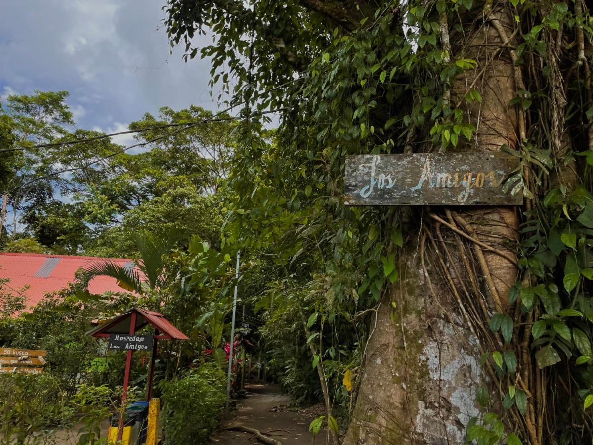 Los Amigos Jungle Hotel Tortuguero Ngoại thất bức ảnh