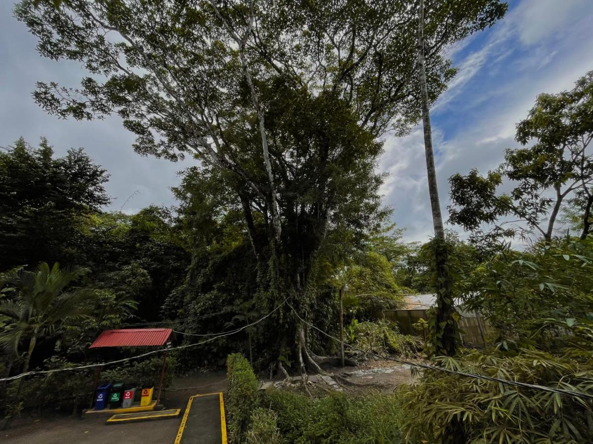Los Amigos Jungle Hotel Tortuguero Ngoại thất bức ảnh