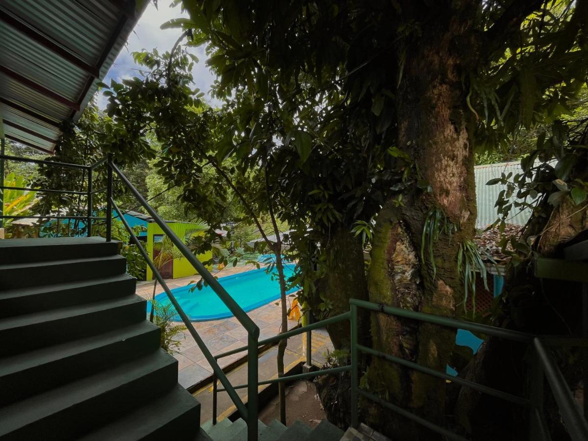 Los Amigos Jungle Hotel Tortuguero Ngoại thất bức ảnh