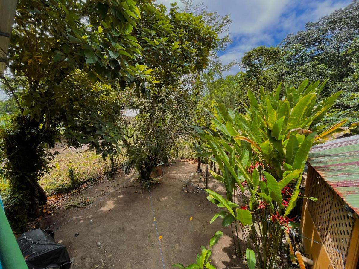 Los Amigos Jungle Hotel Tortuguero Ngoại thất bức ảnh
