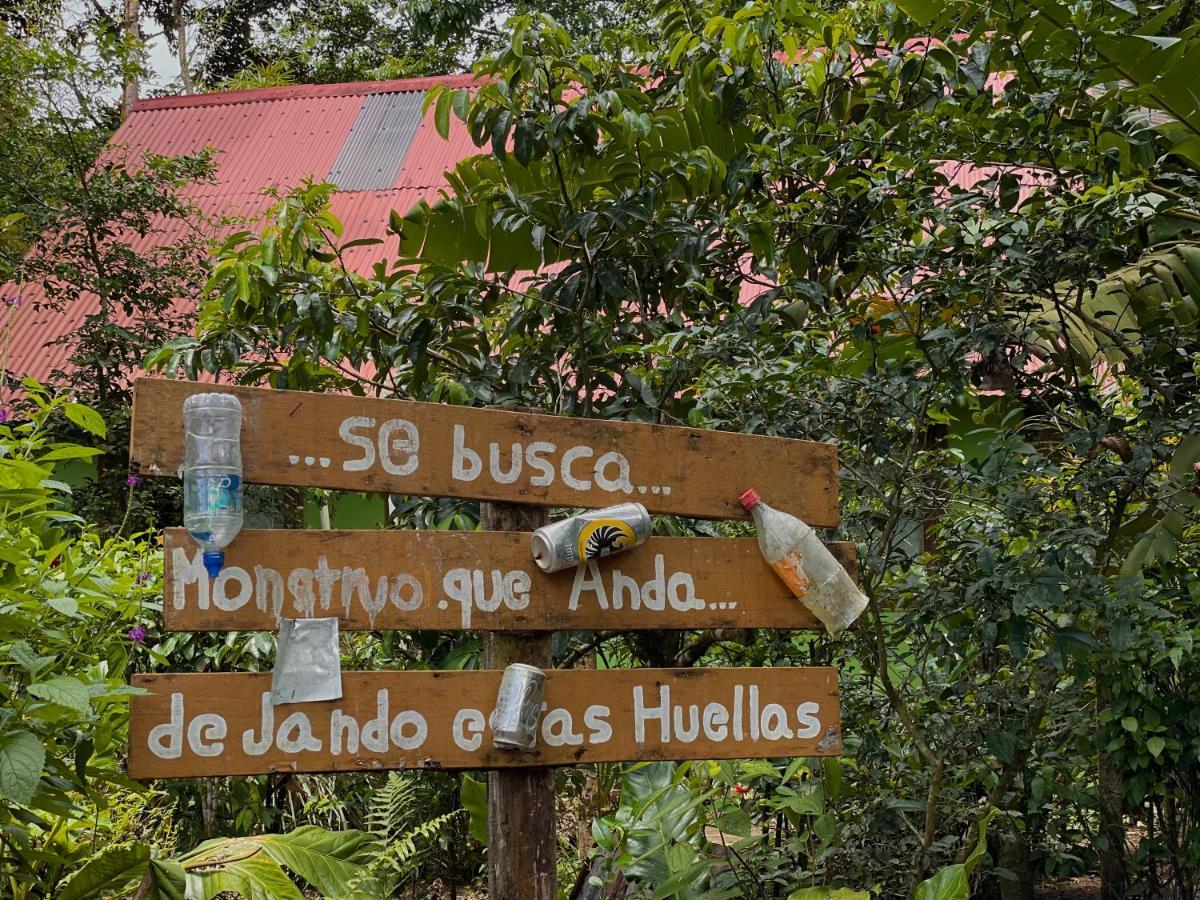 Los Amigos Jungle Hotel Tortuguero Ngoại thất bức ảnh