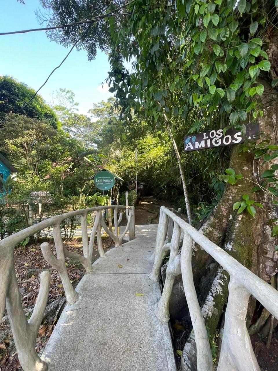 Los Amigos Jungle Hotel Tortuguero Ngoại thất bức ảnh