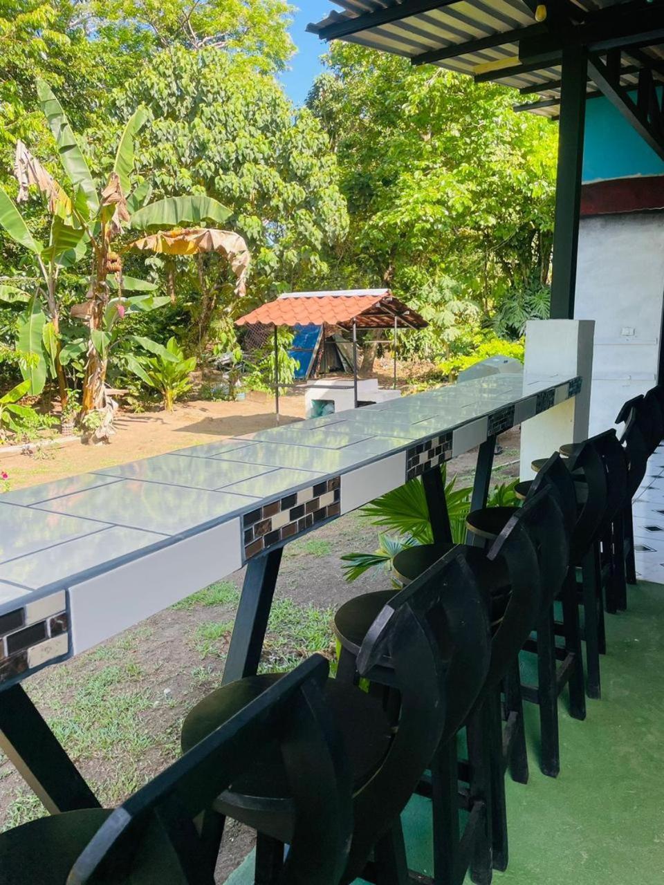 Los Amigos Jungle Hotel Tortuguero Ngoại thất bức ảnh